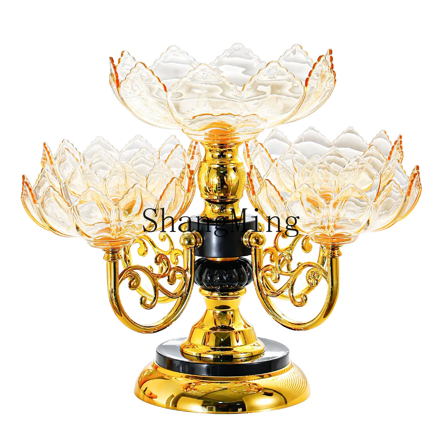 Dsa Fruit Plate Hou…