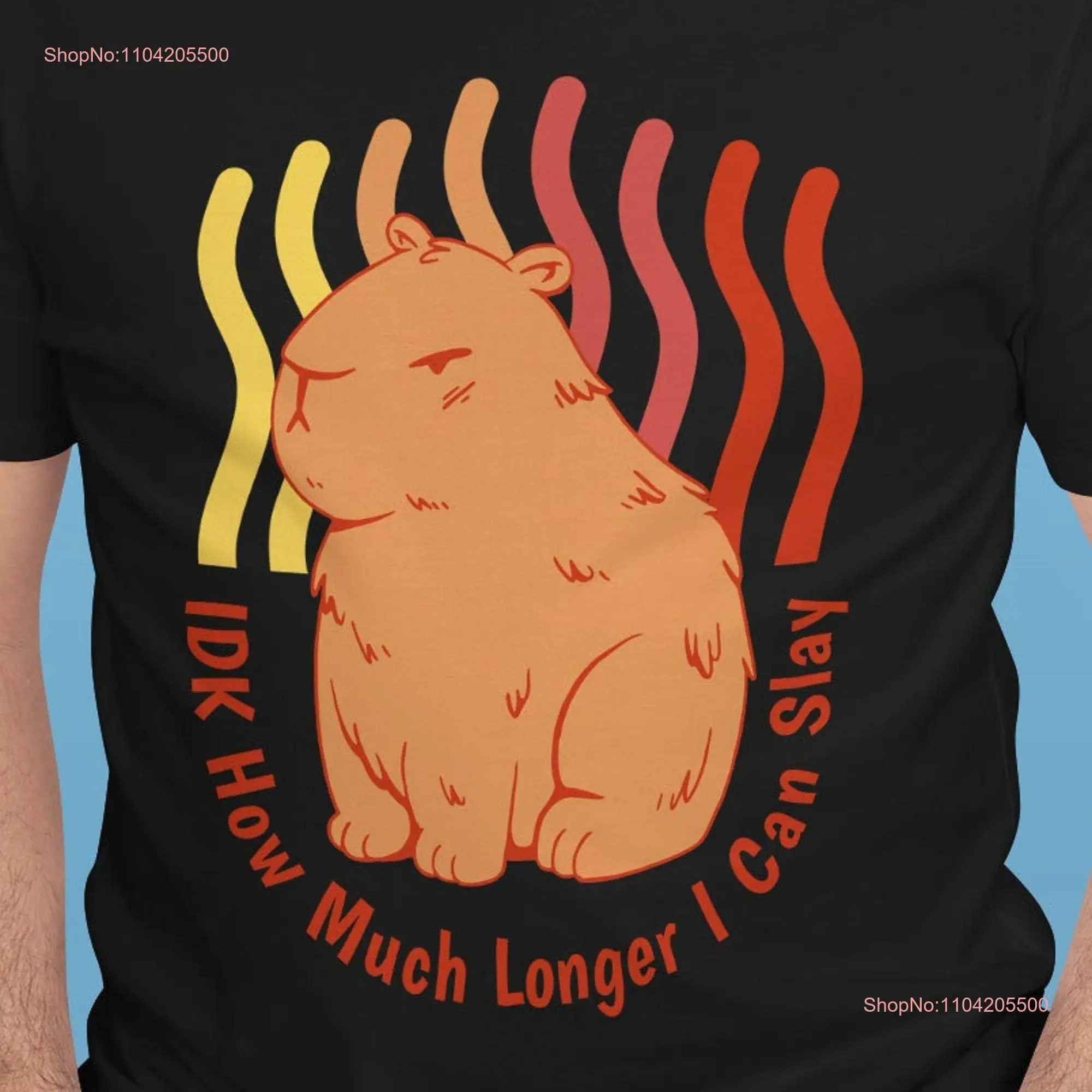 IDK How Much Longer I Can Slay Capybara Funny T Shirt meme gift lover long or short sleeves