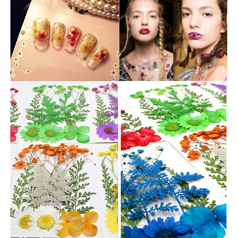 زهور مجففة مضغوطة مختلطة ، فن ذاتي الصنع ، مشغولات نباتية ، هدية فنية #6