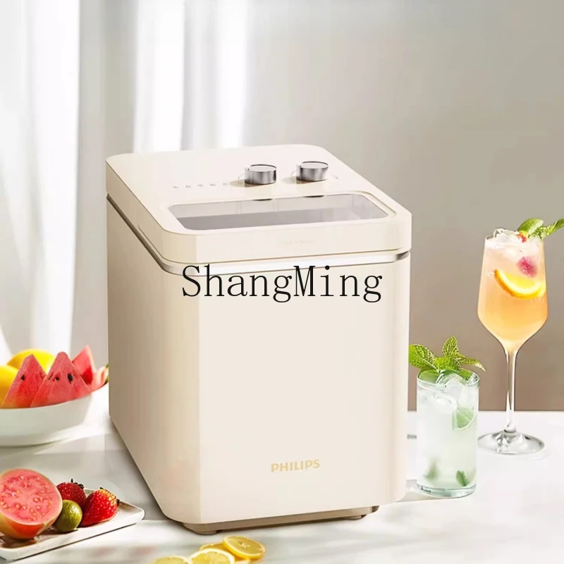 

ZYY outdoor small 10KG household mini automatic ice cube compressor low power