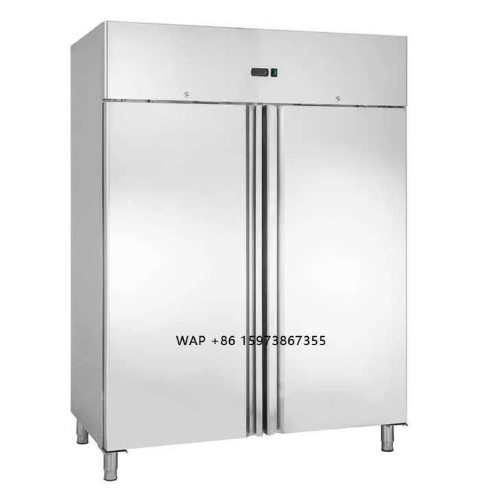 

Commercial Kitchen Freezer Fridge Machine Equipment 2-Door Fully Refrigerated Stainless Steel Double-Temperature Style