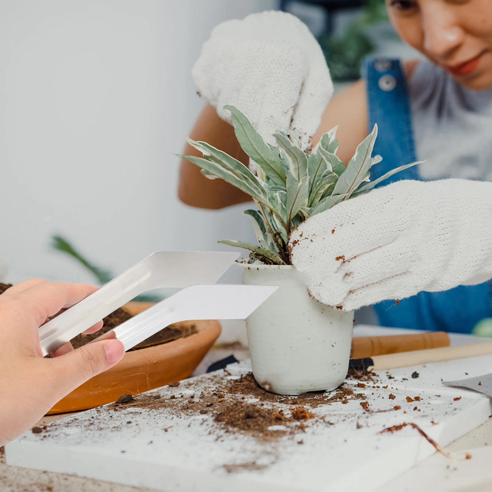 

Stainless Steel Plants Remove Tong Ergonomic Transplanting Tool for Root Protection Multi-Use Gardening Accessory Portable