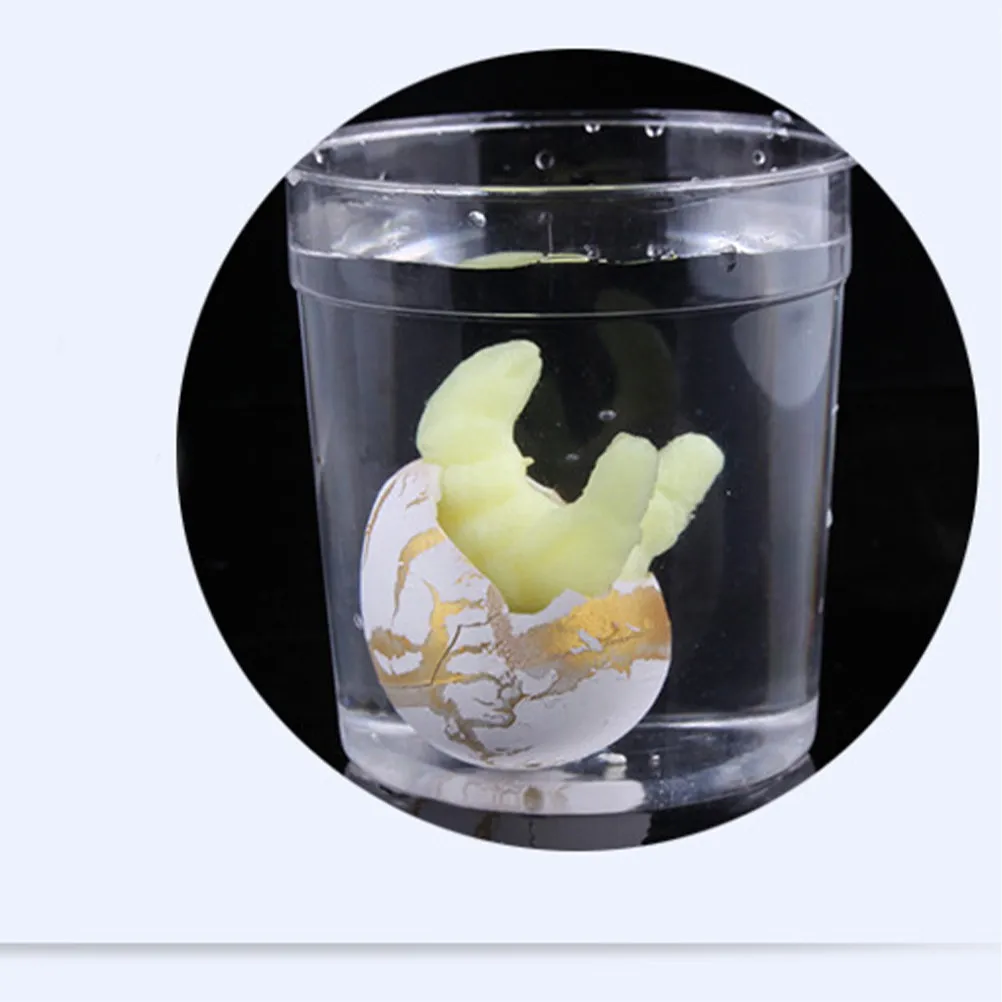 

Dinosaur Egg Planting Toys Eggs Incubator Growing Hatching Dissolving Toddler Expanding Incubating Kids