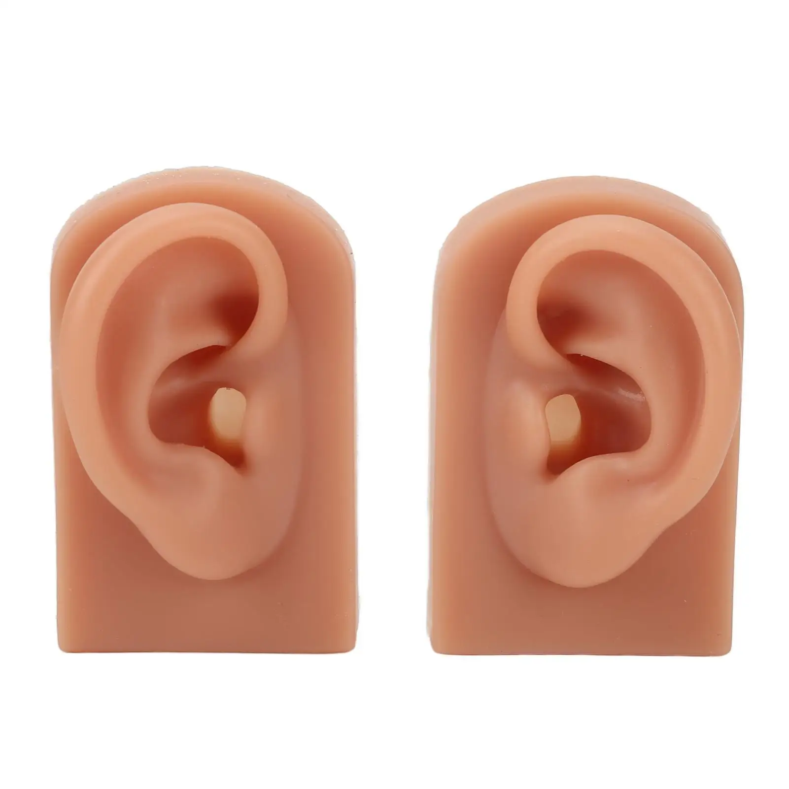 

Silicone Human Ear Model for Piercing Practice Flexible Soft Texture Left Right Design for salon Use
