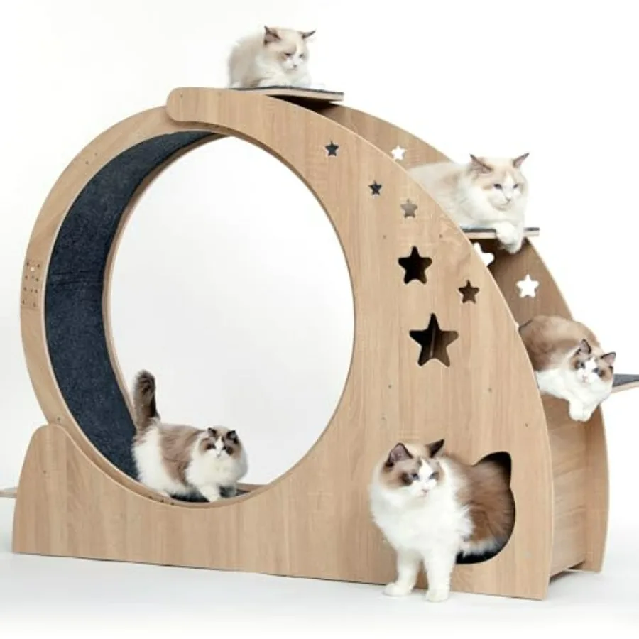 

5-in- Cat Wheel, Cat Exercise Wheel, 4.3" High Large Cat Wheels for Indoor Cats, Cat Treadmill Running Wheel for Indoor Cats wi