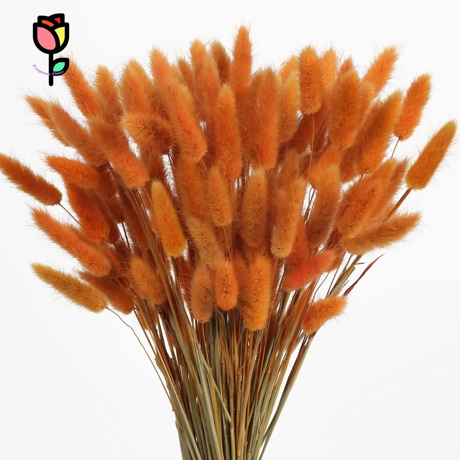 

100pcs Natural Rabbit Bunny Tail Grass Dried Flower Bouquet Wedding Decor Artificial Flowers Lagurus Ovatus Boho Home Decoration