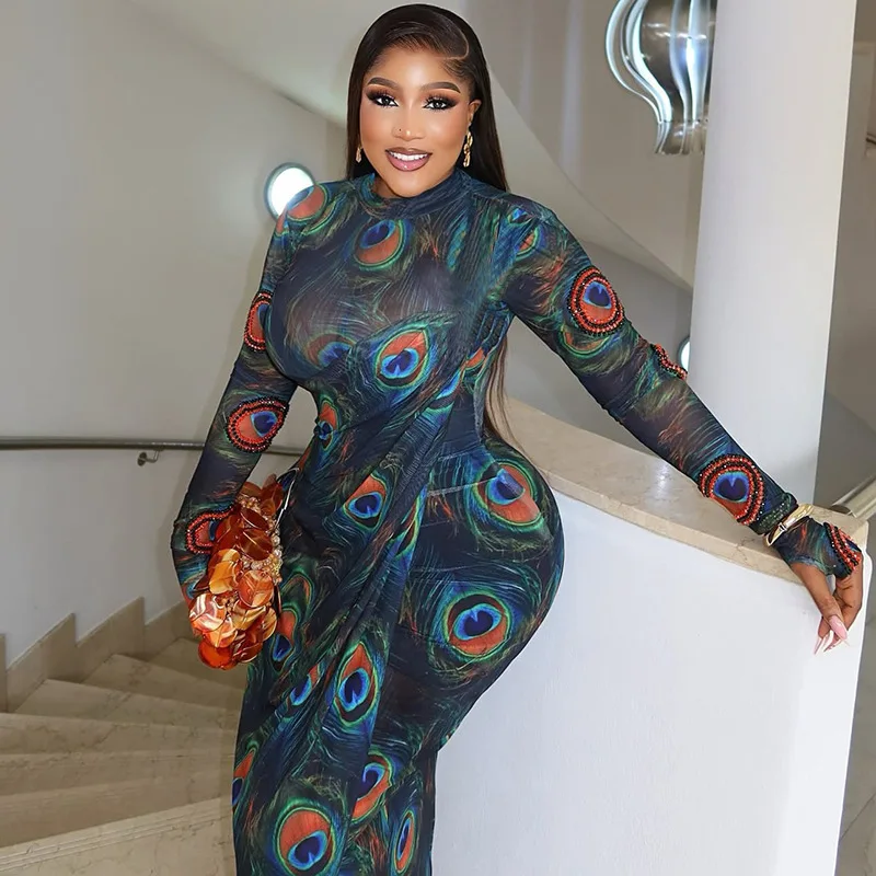 Doorzichtige mesh bedrukte bodycon maxi feestjurk dames coltrui volledige mouw slanke nachtclubwear verjaardagsfeestje lang gewaad