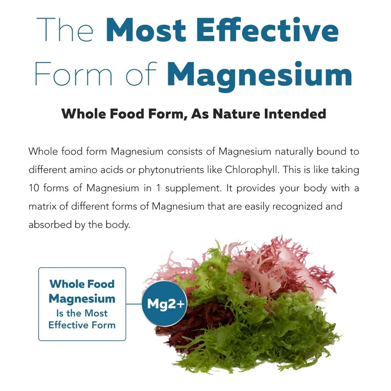 نبات المغنيسيوم العضوي مجمع الخضار البحرية العضوية - 250 مجم مغنيسيوم خفيف للمعدة | |   الطاقة والعضلات والقلب -60 كبسولة