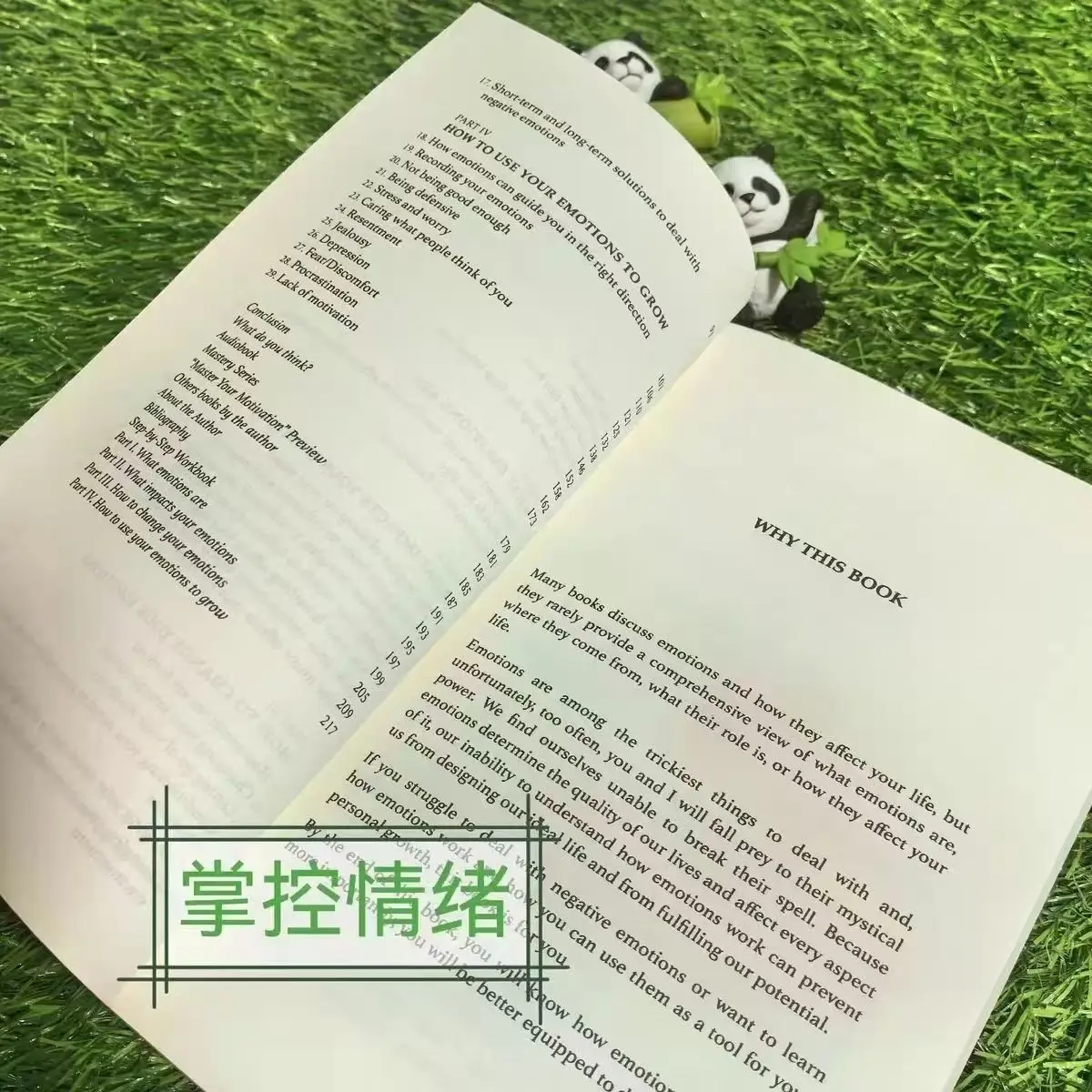 Thibaut Meurisse "استغناء عواطفك" الإنجليزية الأصلية يتغلب على العواطف السلبية وتدير أفضل عواطفك