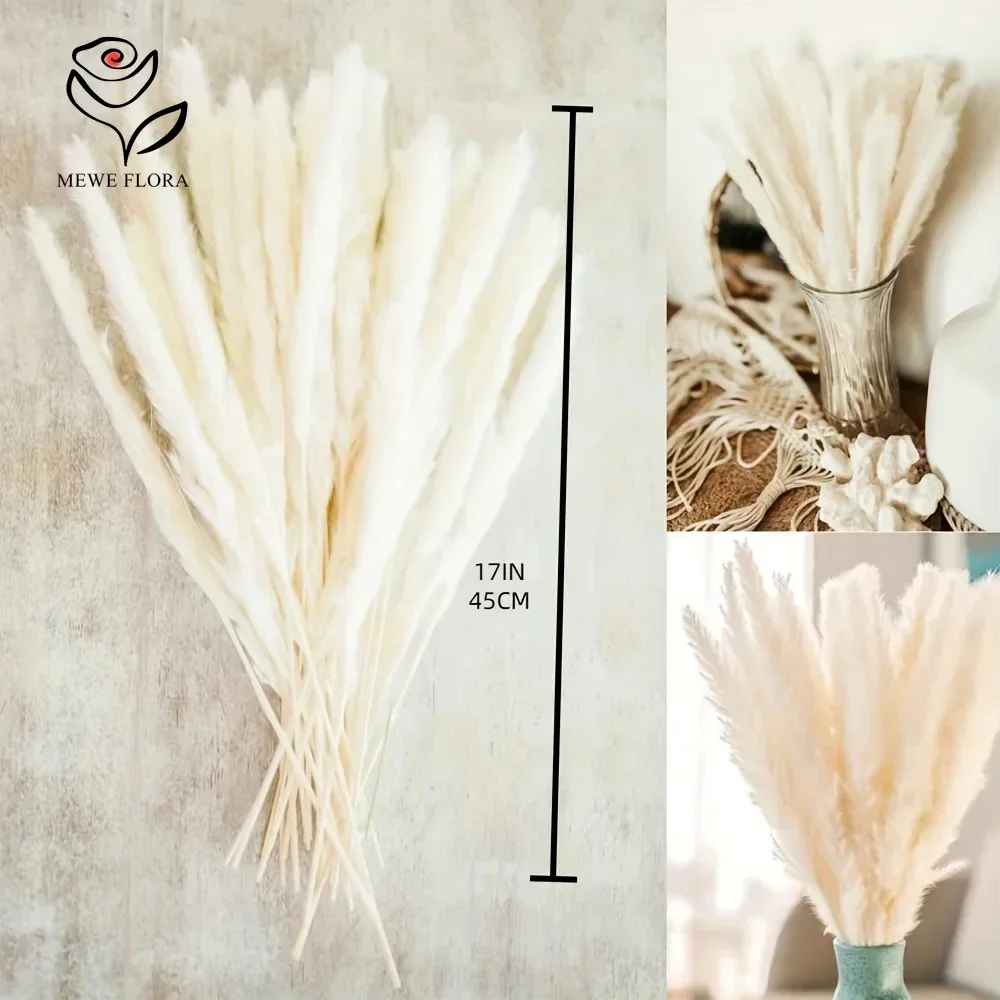 30pcs Dried Flowers Natural Pampas Bouquet Home Decorations Fluffy Phragmites Pampa Wedding Decor Artificial Flower Photo Props