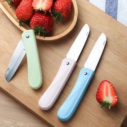 3Pcs Folding Home Fruit Knife Portable Paring Knife Exquisite Travel Household Peeler Food Knife Gift