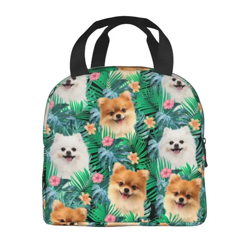 Pomeranian Dog With Summer Leaf Resuable Lunch Boxes Leakproof Pet Spitz Thermal Cooler Food Insulated Lunch Bag Office Work