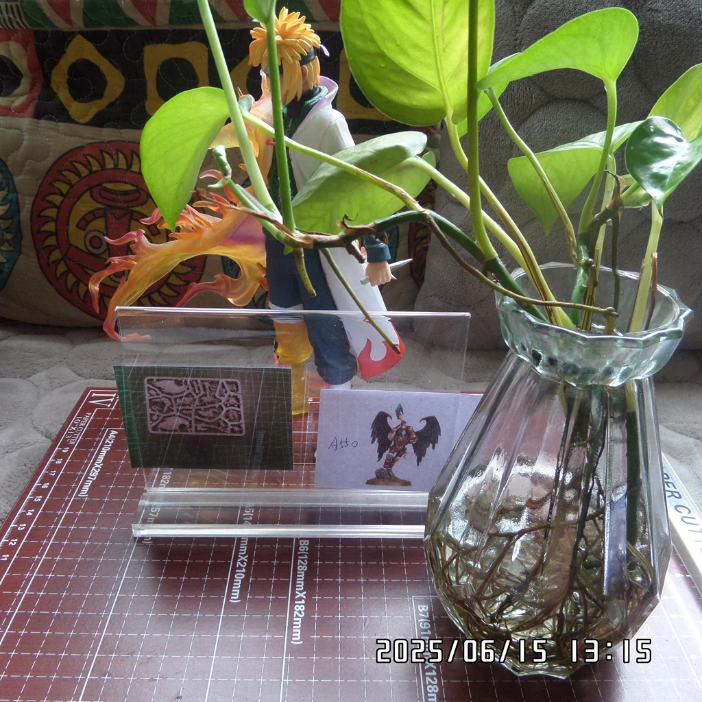 12.08 Order 5 B353 Model customization