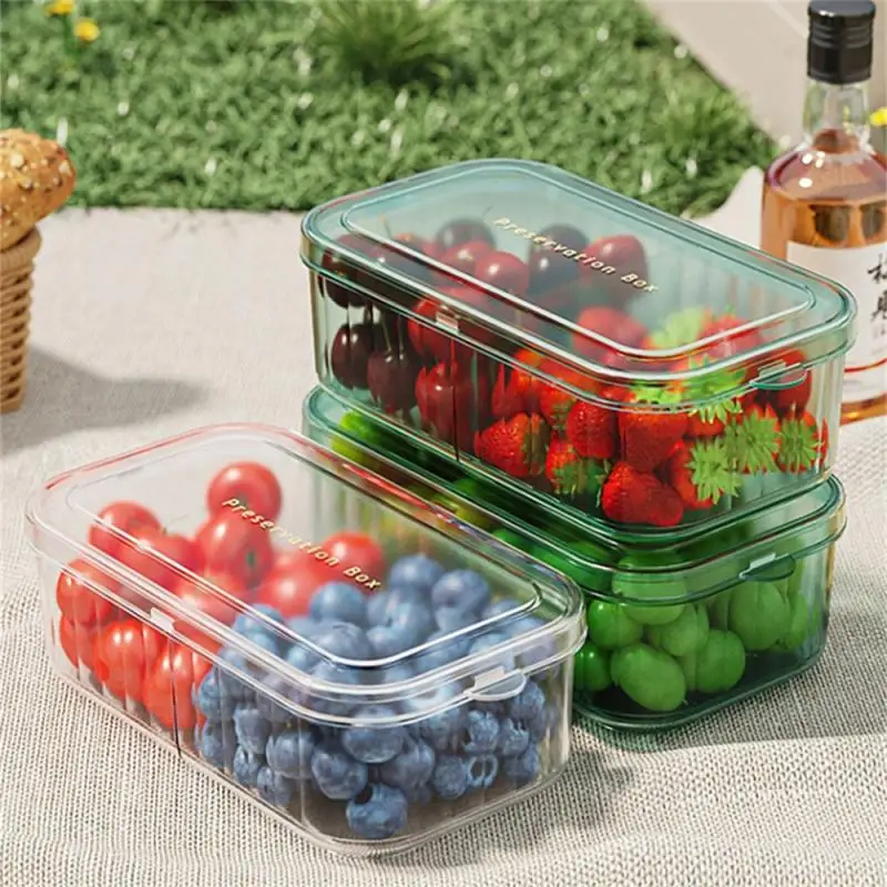 Haltbarkeit und Widerstandsfähigkeit Obst-Sammelbox hat viele Verwendungsmöglichkeiten Frischhaltende Lunchbox Mikrowellenkompatibilität Praktisches Design