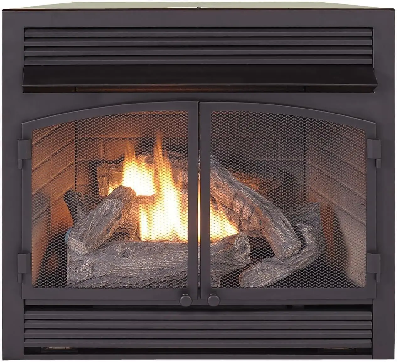 Dual Fuel Ventless Gas Fireplace Insert, Remote Control,Use with Natural Gas or Liquid Propane, 32000 BTU,Black