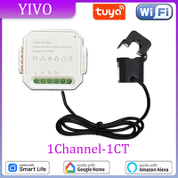 Tuya Smart WiFi Energy Meter 1Channel with Current Transformer Clamp App Monitor Power 80A 100V/240V 50/60Hz