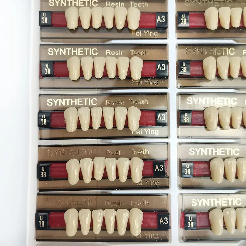 16/12 Sets/ Box Dental Anterior Posterior Polymer Denture Economical Tooth A2 A3 2 Layers Dentistry Materials