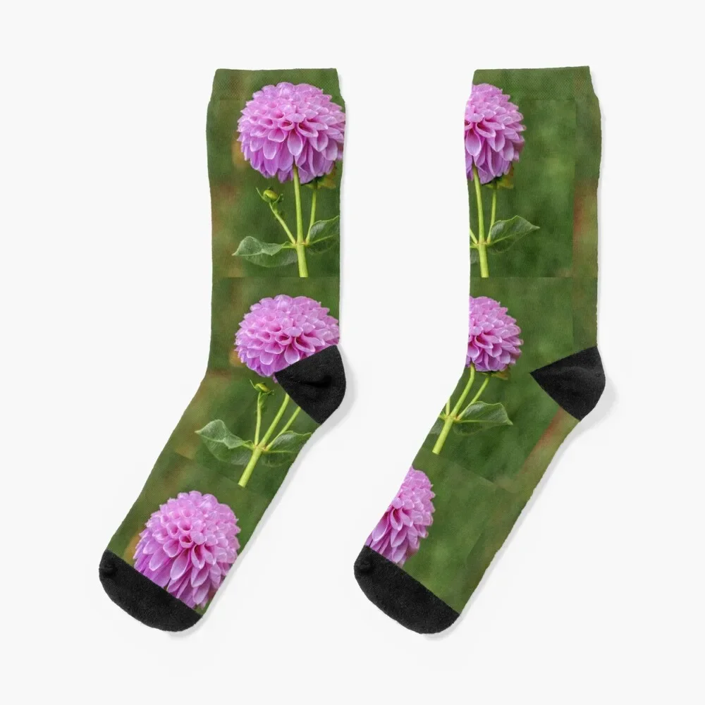 

Perfect Purple Dahlia Socks fashionable custom Stockings compression Socks Male Women's