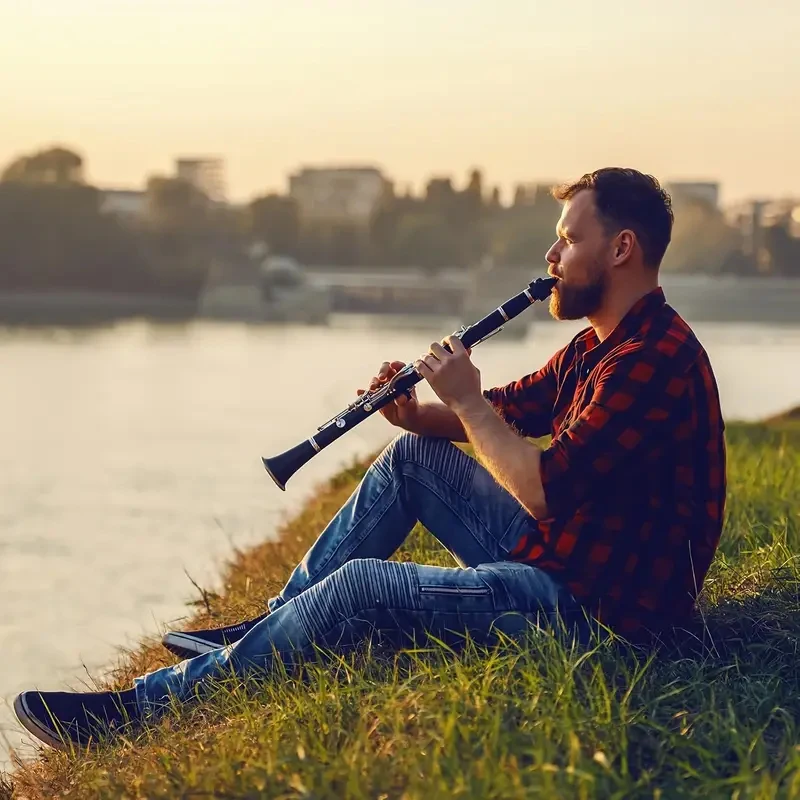 17 Keys Bb Clarinet, Black Woodwind Instrument for Beginner Student Exam, with Carrying Case & Complete AccessoriesAliExpress