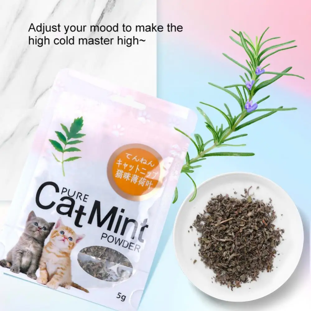 Caring For The Stomach Cat Toy Cleaning Teeth Raising Cats Tools Cat Mint Toys High Quality Cat Mint Leaf Powder Natural 5g