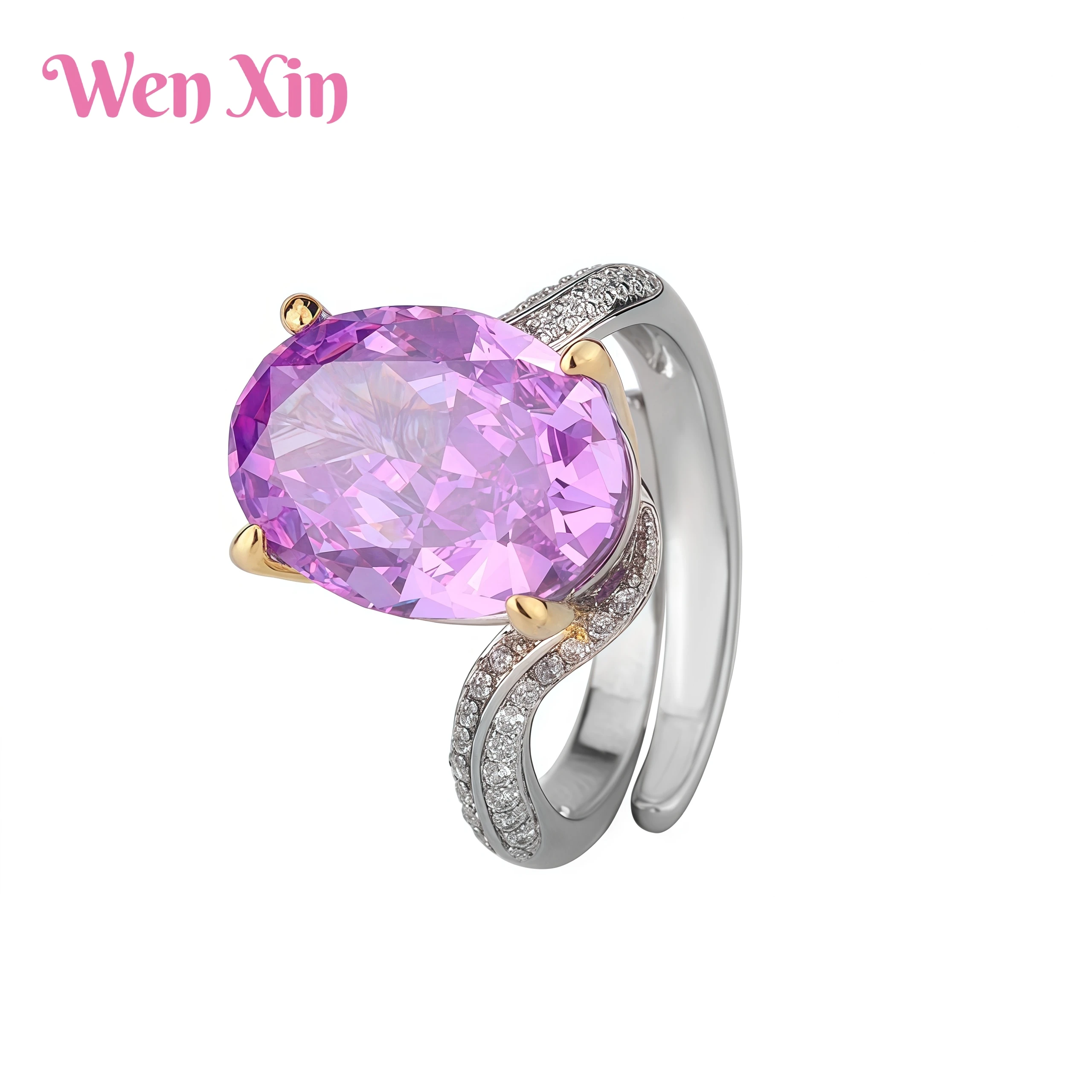 

WENXIN Brand Temperament High End Light Luxury Set High Carbon Diamond Ice Flower Copper Inlaid Minimalist Set For Women