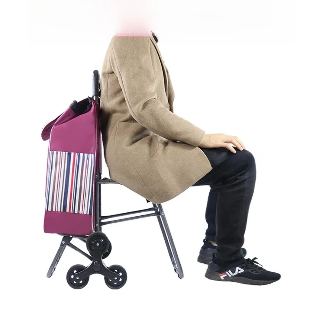 

Stainless Steel Shopping Cart with Stool Foldable Handle for Climbing Stairs Vegetable Buying Home Use Portable Trolley