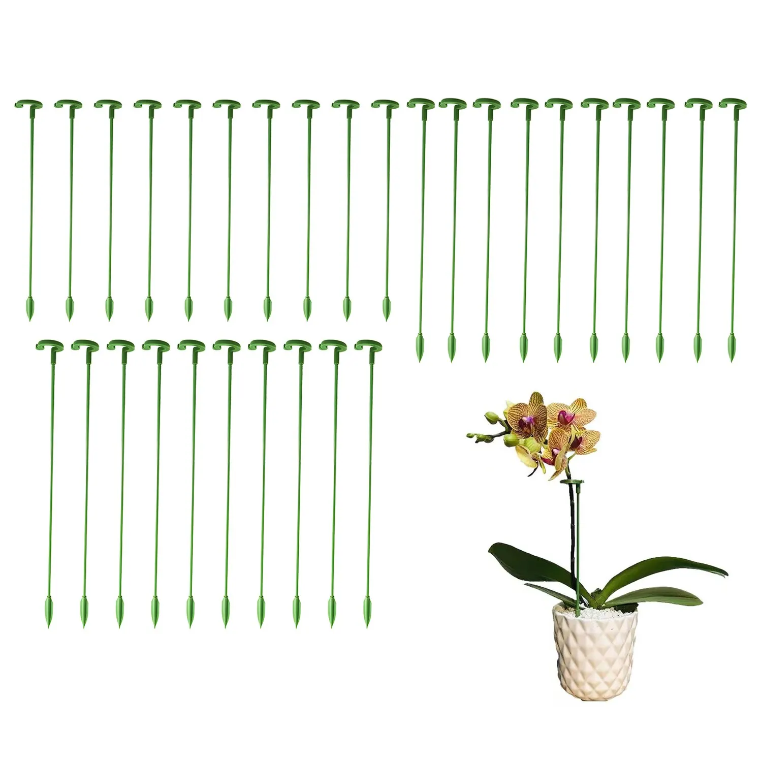 Plant Support Stakes Garden Single Stem Flower Support Stake Amaryllis Plant Cage Support Plastic Flower Stand