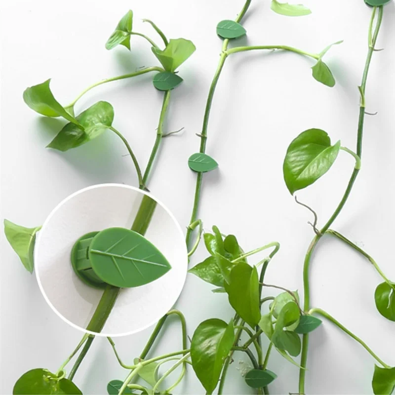 10pcs Green Plant Climbing Wall Tool Climbing Vine Fixing Tool Plant Growth Climbing Traceless Self-Adhesive Green Plant Clip