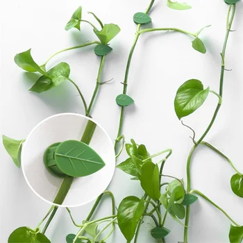 自己粘着性の緑の植物クライミングウォールツール、つる固定ツール、植物成長、トレーレス、10個