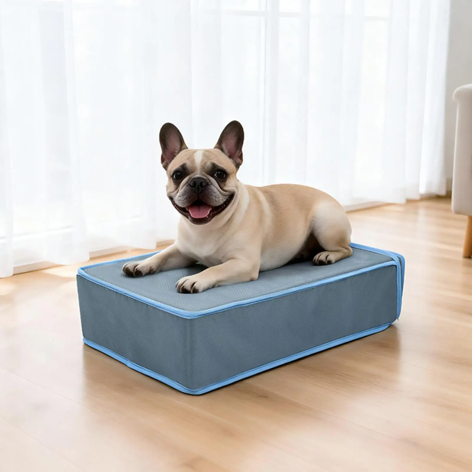 

Cooling Dog Mat 51.5x38x14cm Washable Bed With 5 Ice Packs Pet Cooling Mat For Puppy Cat Summer Outdoor Indoor Travel Crate