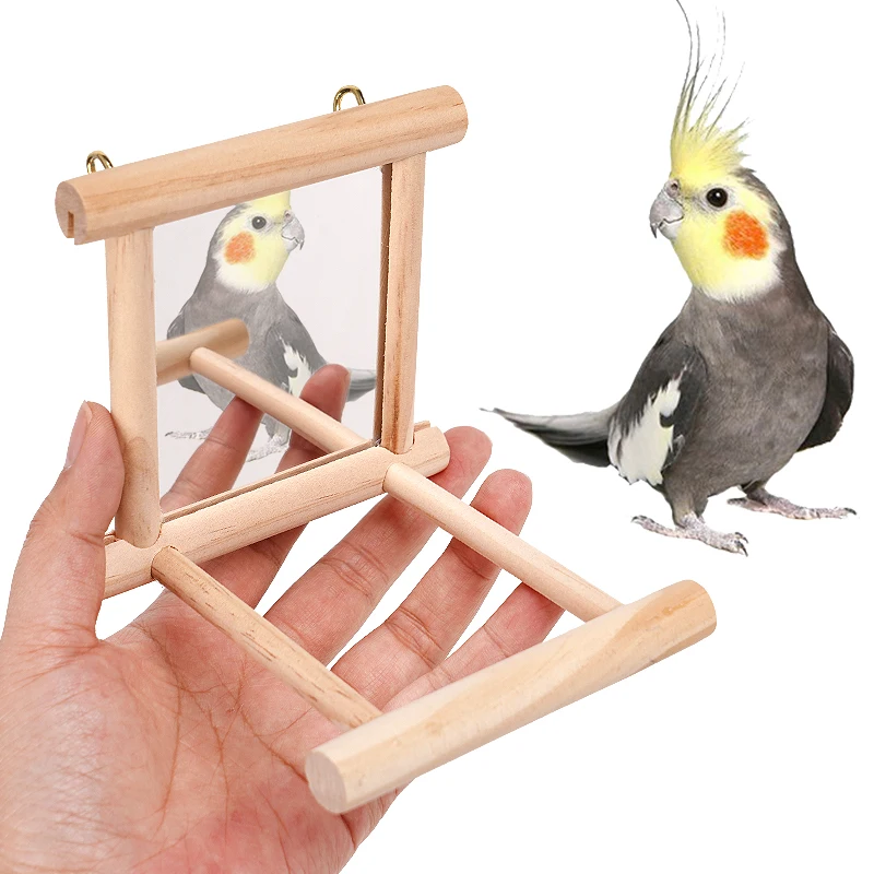 Vogelst änder Tischplatte Training mit Spiegel Barsch tragbare Papagei Holz spielst änder für kleine mittlere Papageien Vogel bedarf