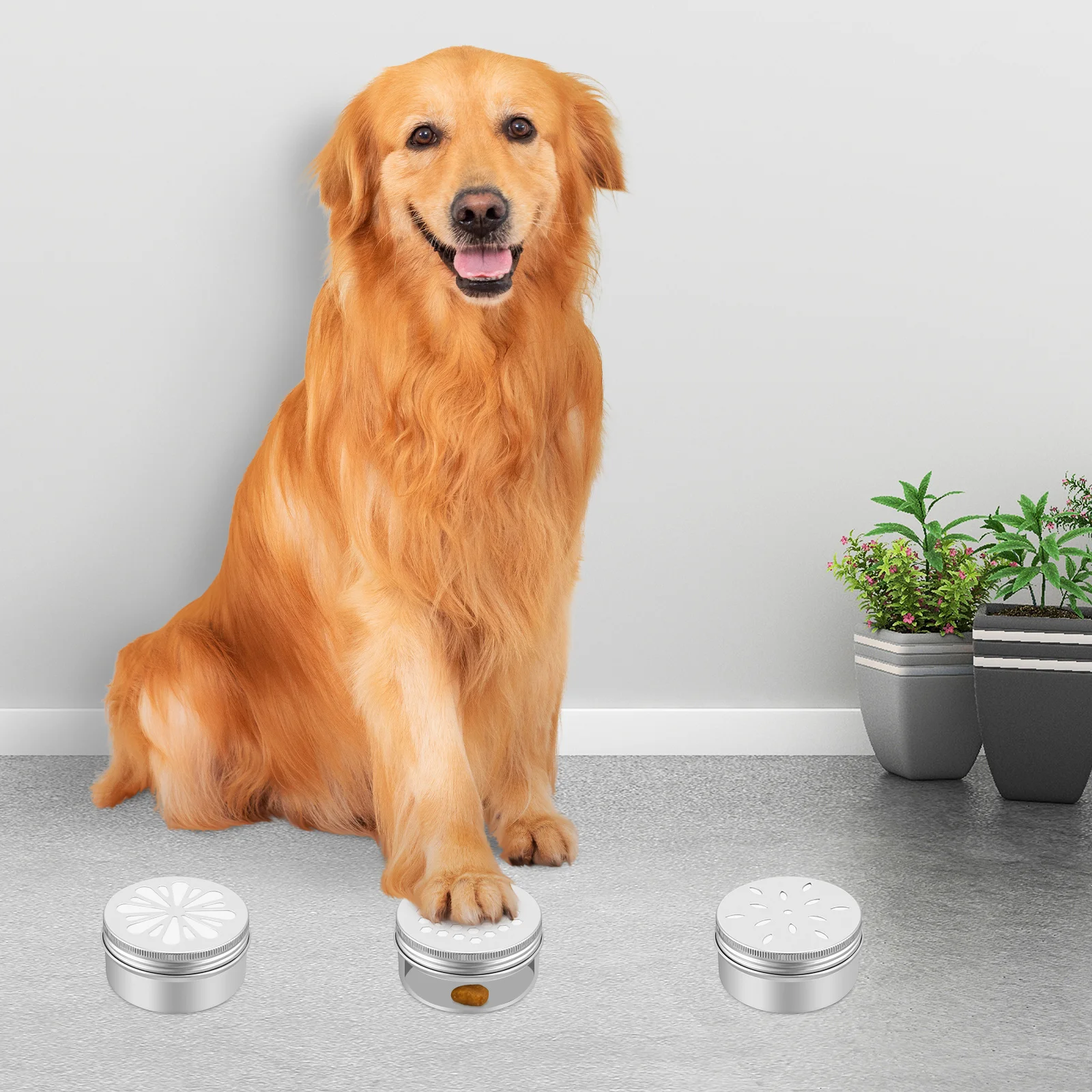 Effortless Dog Scent Training Container with Magnetic Dots for Convenient Use and Enhanced Durability