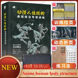 Special Training on Animation Human Body Structure Expression Techniques Body Structure Hand-painted Basic Books