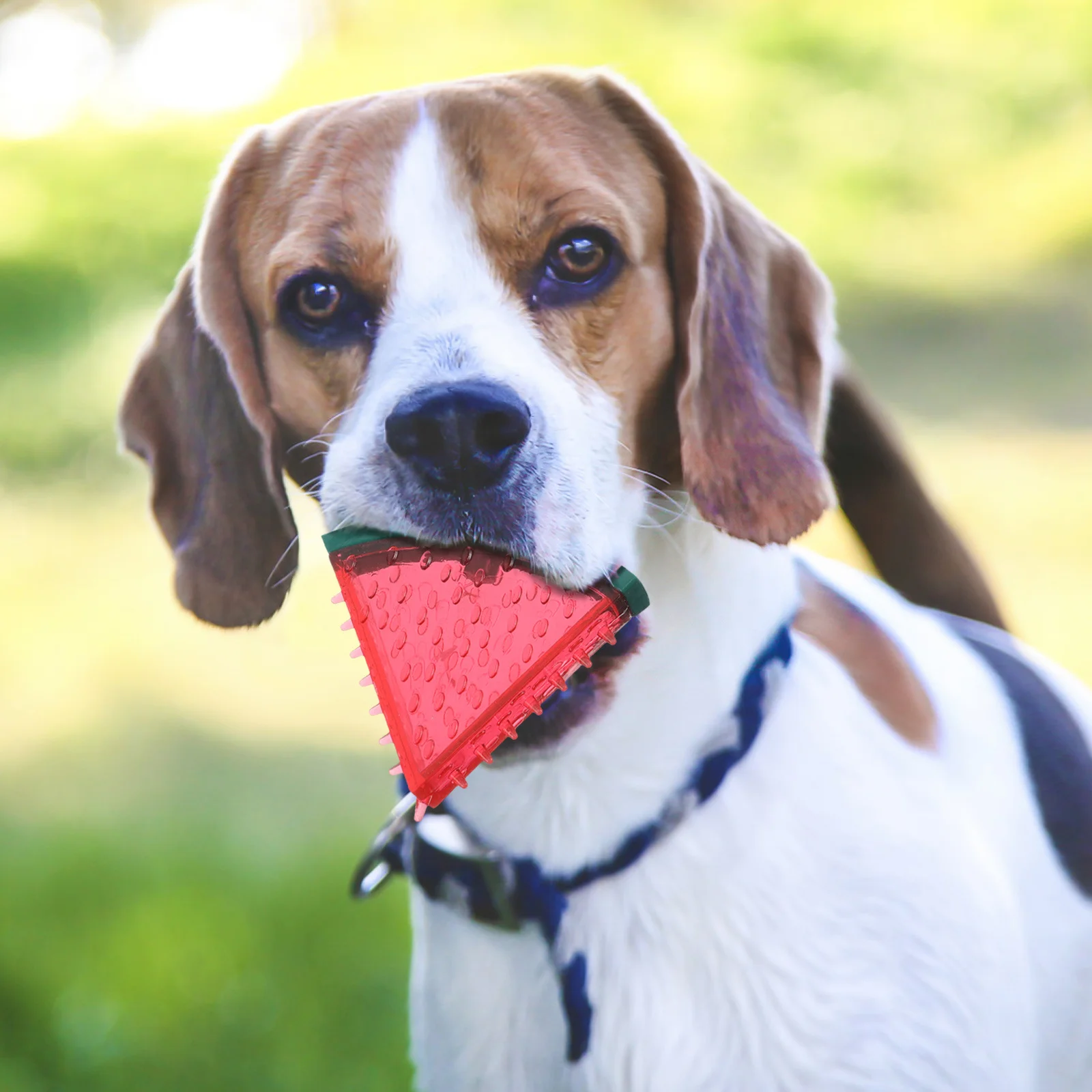 

3pcs Pet Chew For Dogs Durable Tpr Soft Dog With Squeaker, Freezable Cooling Treat For Puppies, Medium Chew Balls Summer