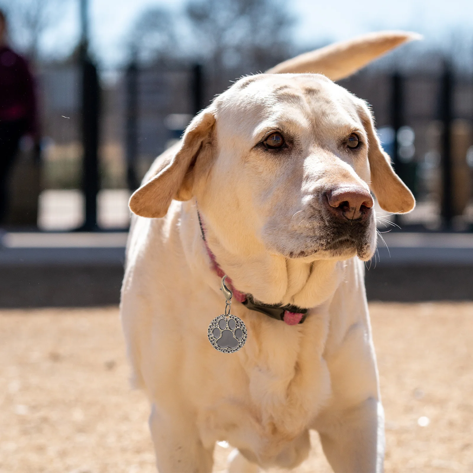 

Pet Id Tag Metal Round Pendant Custom Name Tag for Cat Dog Easy Install Remove DIY Engraved Anti Lost Pet Supplies