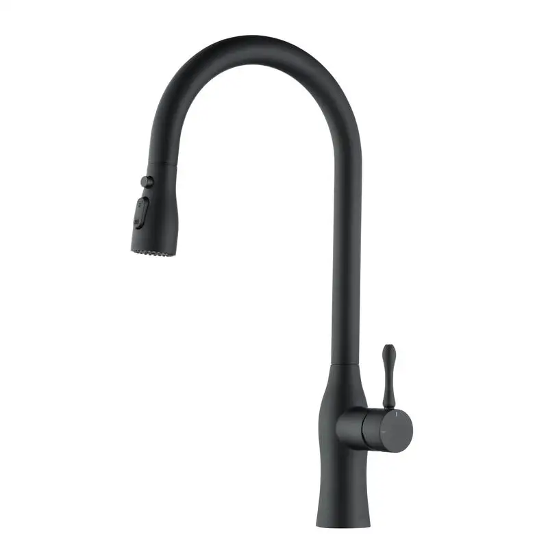 

Matte Black Pull-Down Single Handle Kitchen Faucet with Modern Design and Easy Installation