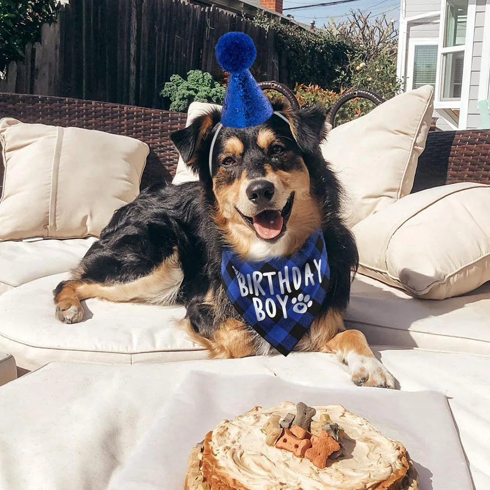 Fournitures de fête d'anniversaire pour chien, chapeau d'anniversaire pour animal de compagnie, ensemble de bandana d'anniversaire pour chien garçon