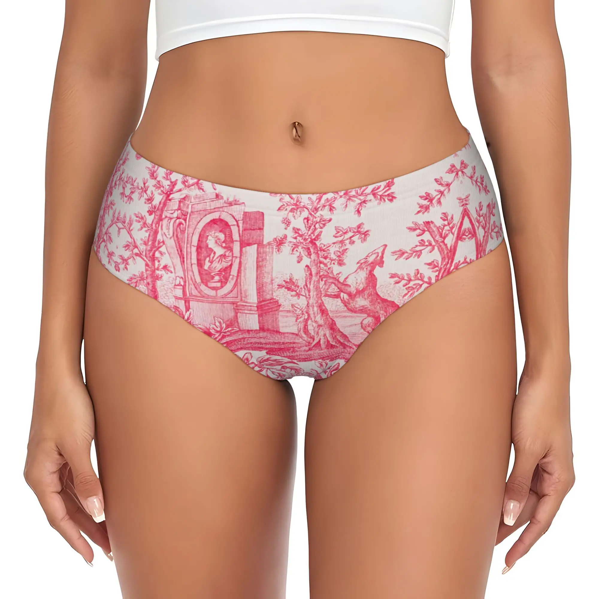 Women's Vintage French Toile De Jouy Motif Pattern Panties Comfort  Briefs Underwear