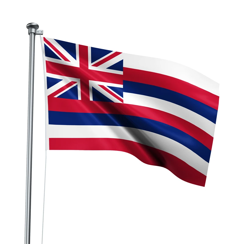 Gaslight Gatekeep Girlboss 5' x 3' Hawaii State Flag Banner Polyester with Brass Grommets 150cm x 90cm