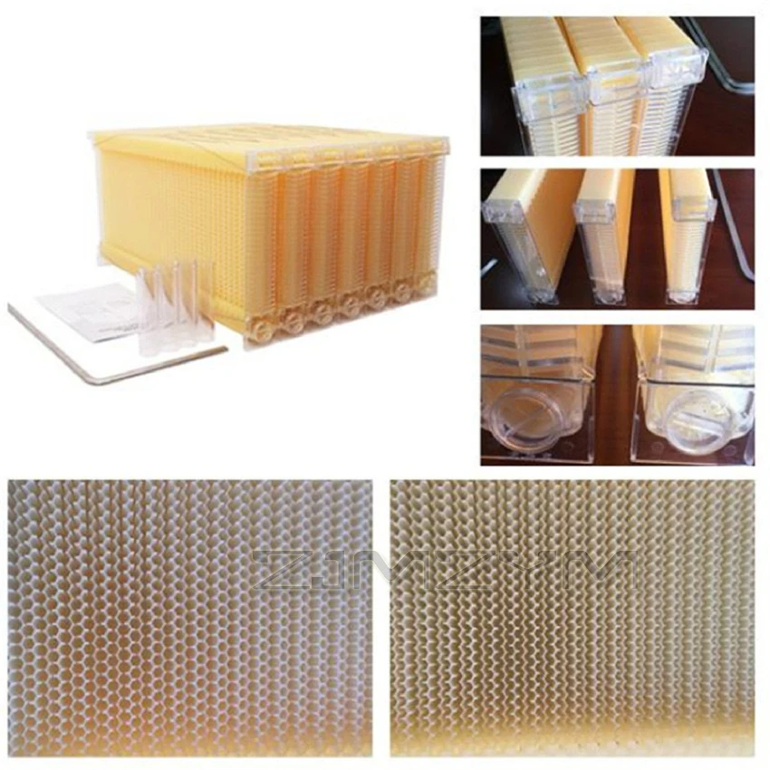 

Automatic Extraction Boxes Self-Flowing Honey Hive Frames Honey Spleen Bee Box Base Plastic Honey Hive Frames Beekeeping Tools