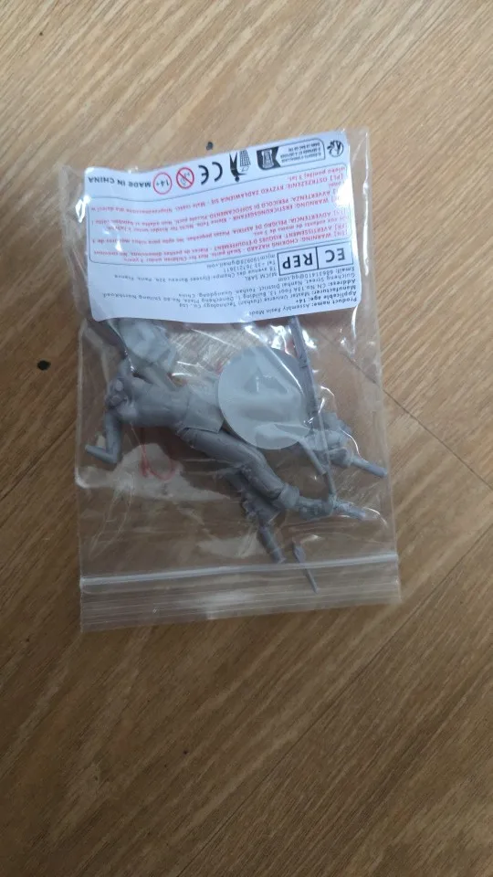 Buyer photo of this resin kit