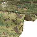 DG3