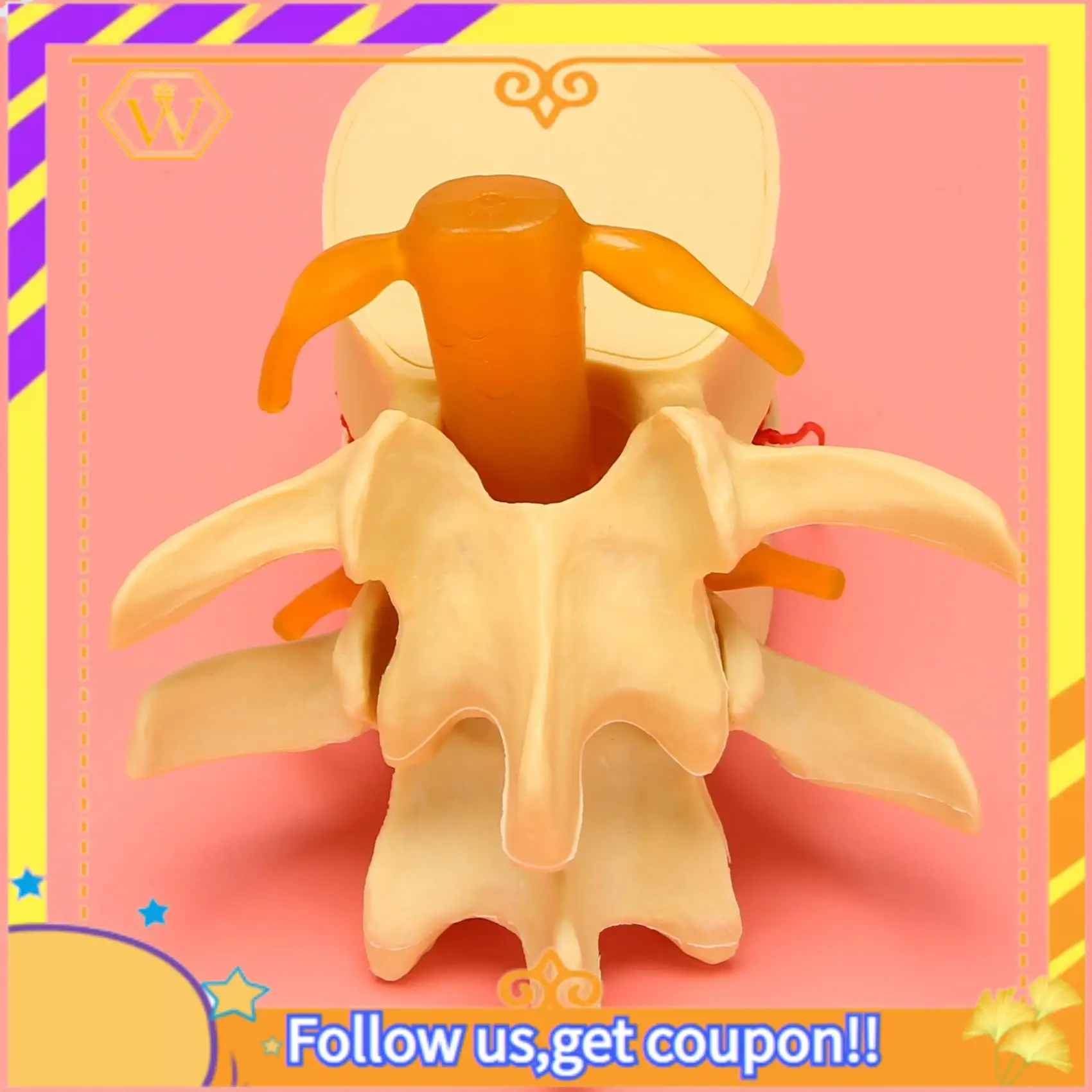 

Latest-Lumbar Vertebrae Model Anatomical Spine Lumbar Disc Herniation Anatomy Teaching Tool Lumbar Vertebrae Model