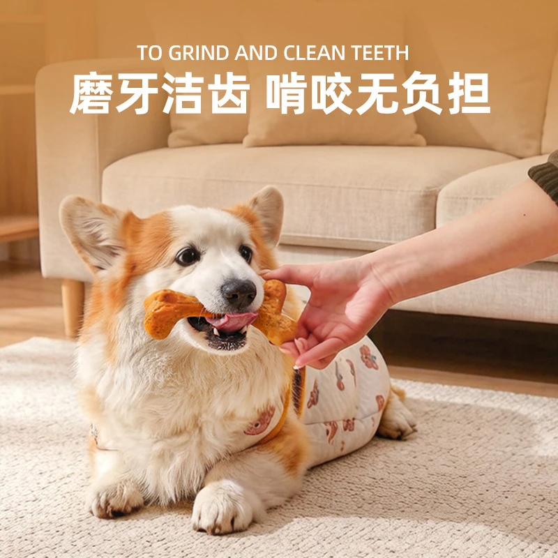 Dog ToyTPRDurable chew-resista - Teeth Cleaning Dog Chew Bone ulasan dan harga