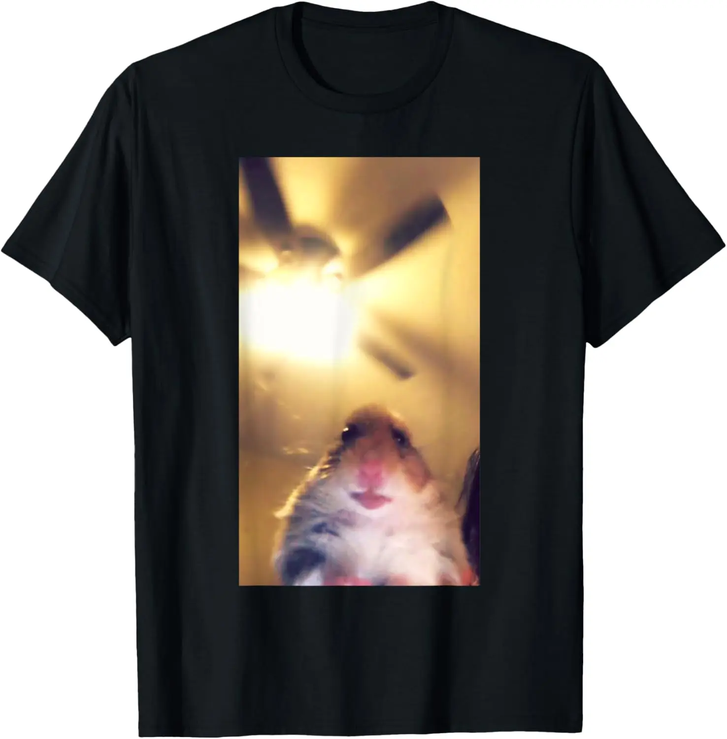 Meme Hamster Staring Front Camera T-Shirt, 100% Cotton Regular Fit Short Sleeve Round Neck Casual Top for Adults, All-Season