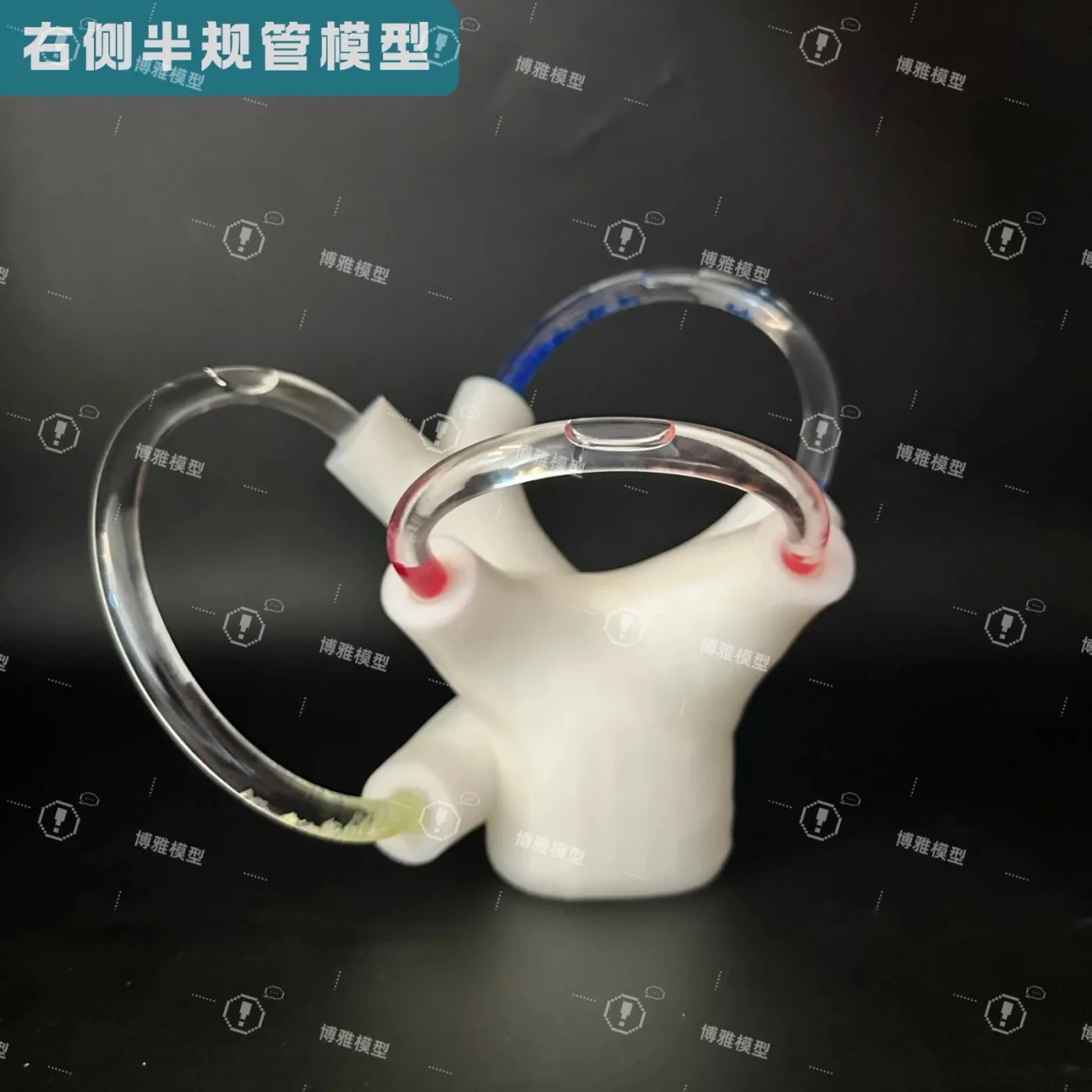 نموذج قناة نصف دائرية نموذج أوتوليث نموذج قناة نصف دائرية نموذج إعادة تحديد أوتوليث #3