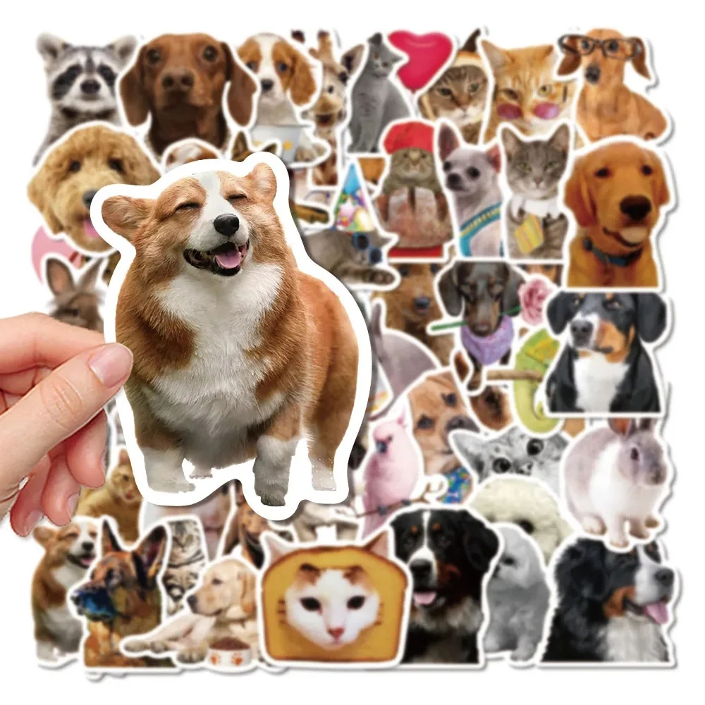 

10/30/52pcs Funny Animal Meme Stickers Cute Cat Dog Expression Sticker DIY Suitcase Phone Guitar Bike Graffiti Decals Kids Toy