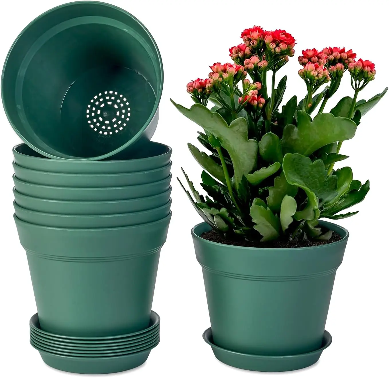

Plant Pots,7.5 Inch Flower Pots for Plants Plastic Planters for Indoor with Multiple Drainage Holes and Trays, for All H