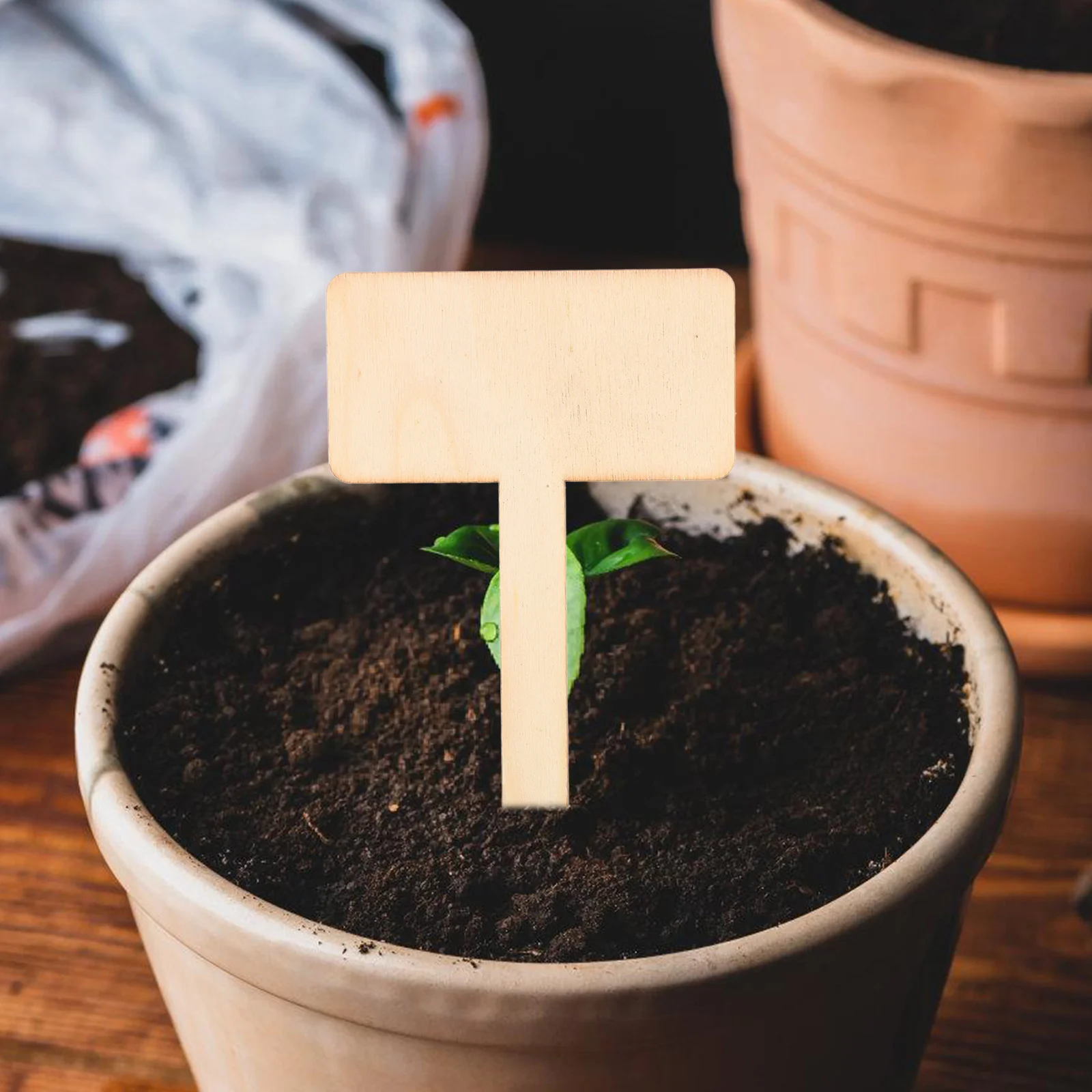 

20Pcs Wooden Plant Labels Succulent Markers Easy Insert Design Garden Markers Outdoor Plants Sustainable Gardening Accessories