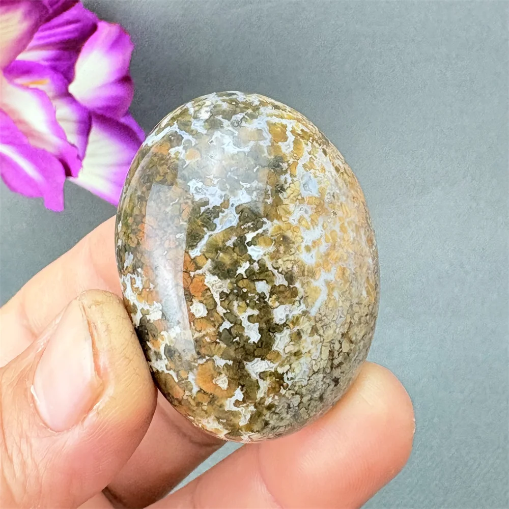 Natural Ocean Jasper Stone Irregular Smooth Polished Pebble Reiki Healing Chakra Gemstone Colorful Palm Stone for Home Decoratio